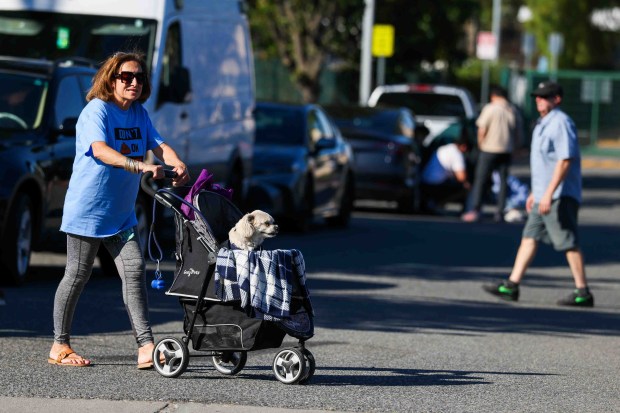 Supporter Sherri Sepahmansour and her dog, Buddy, join animal welfare advocates, volunteers, and community members protesting outside San José Animal Care & Services in San Jose, Calif., on Wednesday, June 17, 2026. Organizers said the demonstration was held to protest the shelter's current leadership, which they allege has created a hostile environment for volunteers and local rescue partners. (Ray Chavez/Bay Area News Group)