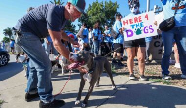 San Jose animal shelter photo ban sparks protest over fired volunteers – The Mercury News