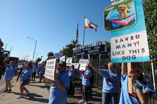 Animal welfare advocates, volunteers, and community members protest outside San José Animal Care & Services in San Jose, Calif., on Wednesday, June 17, 2026. Organizers said the demonstration was held to protest the shelter's current leadership, which they allege has created a hostile environment for volunteers and local rescue partners. (Ray Chavez/Bay Area News Group)