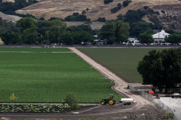 Farmland in Coyote Valley, near the corner of Bailey Avenue and Santa Teresa Boulevard in San Jose, Calif., seen on May 29, 2026, is the site proposed for an industrial battery storage facility. (Dai Sugano/Bay Area News Group)