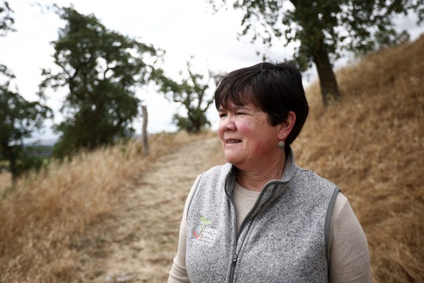 Santa Clara Valley Open Space Authority General Manager Andrea Mackenzie shows this news organization the proposed site for an industrial battery storage facility on private farmland in Coyote Valley, near the corner of Bailey Avenue and Santa Teresa Boulevard in San Jose, Calif., on May 29, 2026. (Dai Sugano/Bay Area News Group)