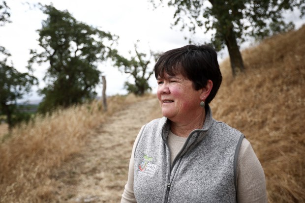 Santa Clara Valley Open Space Authority General Manager Andrea Mackenzie shows this news organization the proposed site for an industrial battery storage facility on private farmland in Coyote Valley, near the corner of Bailey Avenue and Santa Teresa Boulevard in San Jose, Calif., on May 29, 2026. (Dai Sugano/Bay Area News Group)