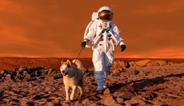 Bay Area arts: The Exploratorium examines space survival, zero gravity