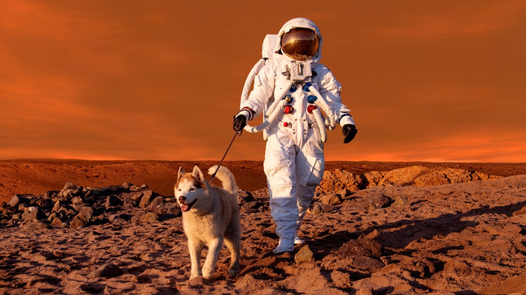 Bay Area arts: The Exploratorium examines space survival, zero gravity