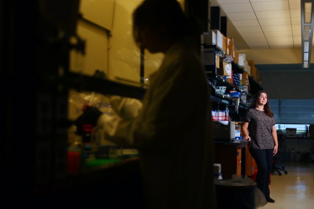 Dr. Christina Theodoris in a wet lab at Gladstone Institutes on Thursday, April 16, 2026, in San Francisco. Theodoris, a scientist at the biomedical research organization has created new AI model that speeds up aging cell research. (Aric Crabb/Bay Area News Group)