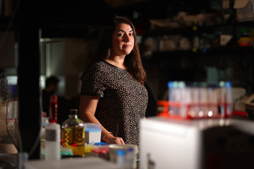 Bay Area researchers use AI to search for the secrets of healthy aging
