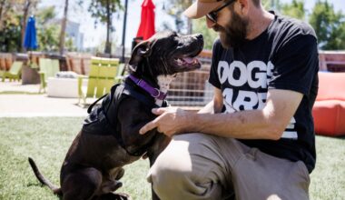 ‘He gets a new chapter now’: San Jose pit bull returns from rescue accused of killing dogs – The Mercury News