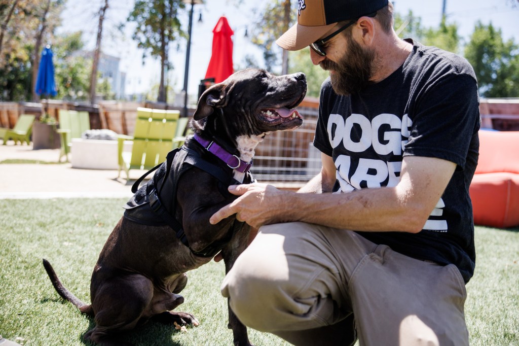 ‘He gets a new chapter now’: San Jose pit bull returns from rescue accused of killing dogs – The Mercury News
