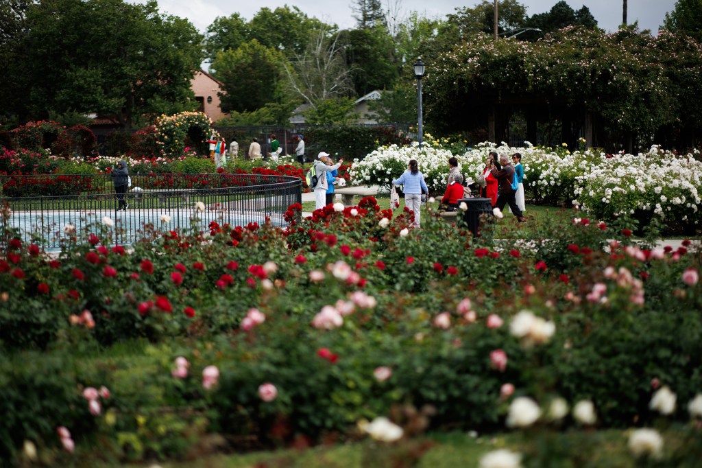 It’s a perfect weekend for al fresco entertainment in San Jose – The Mercury News