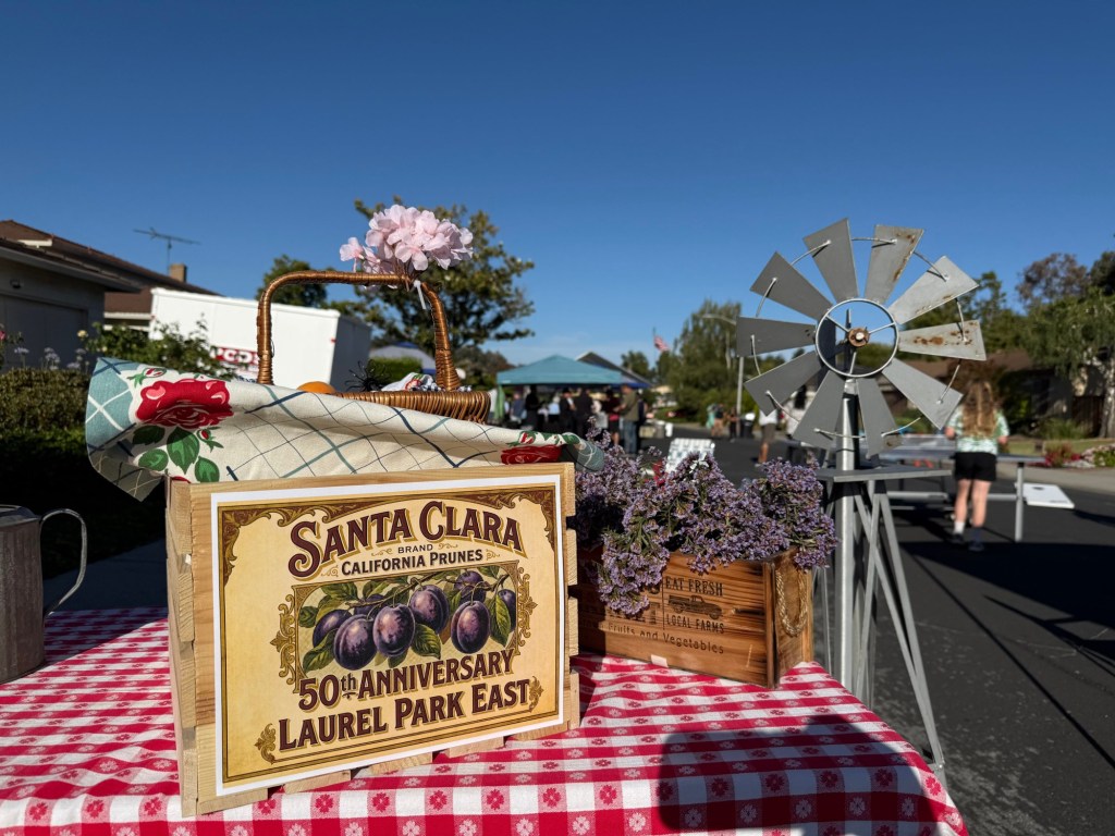 ‘Modern’ in 1976, Santa Clara neighborhood celebrates 50 years of community – East Bay Times