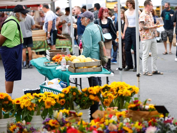 The Hillcrest Farmers Market is located on Normal Street in Hillcrest on Sunday, June 9, 2024. (K.C. Alfred / The San Diego Union-Tribune)