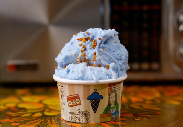 A cup of Bluetooth, a coconut and blue spirulina vegan gelato at An's Electronics Repair, a gelato shop in Ocean Beach. (K.C. Alfred / The San Diego Union-Tribune)