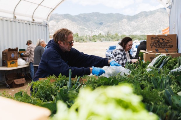 Nick Ketelsen, president of Montezuma Valley Volunteer Community Service Organization, packages vegetables in preparation for distribution at a mobile pantry in Ranchita on Tuesday, April 14, 2026. (Kristian Carreon / The San Diego Union-Tribune)