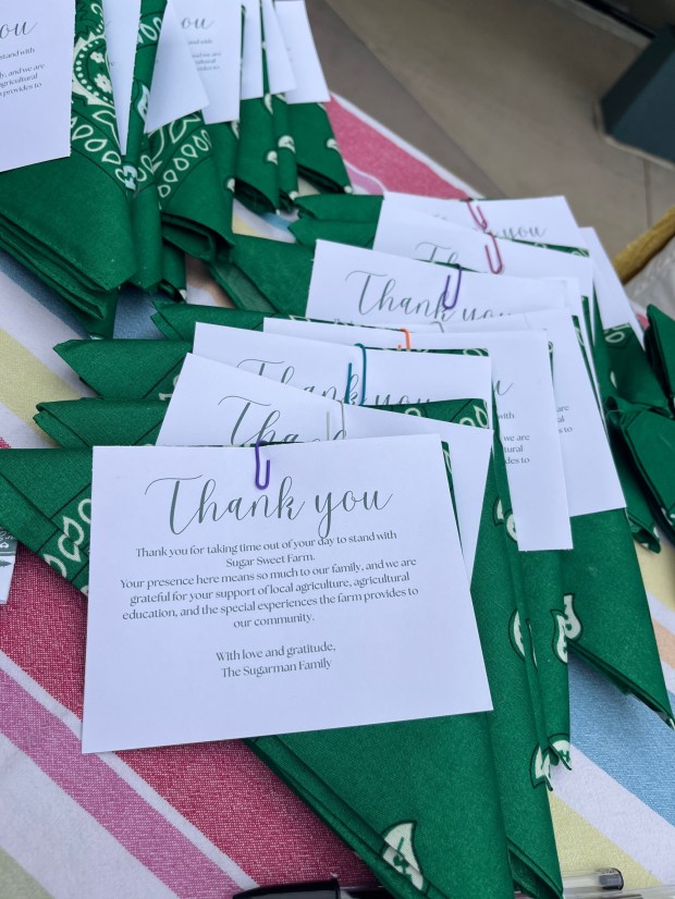Green bandanas await distribution to Sugar Sweet Farm supporters before Wednesday night's City Council meeting.(Courtesy)