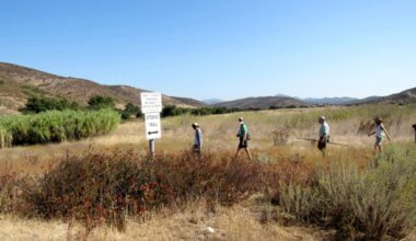 Ruling offers welcome relief from overdevelopment – San Diego Union-Tribune