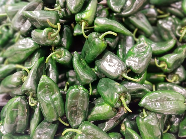 Poblano peppers. (Julio Estrada)
