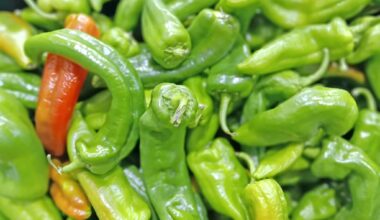 Garden Mastery: Chiles’ spicy heritage is a lesson in how to flourish – San Diego Union-Tribune