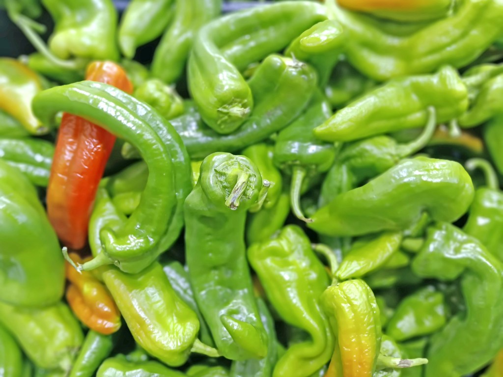 Garden Mastery: Chiles’ spicy heritage is a lesson in how to flourish – San Diego Union-Tribune