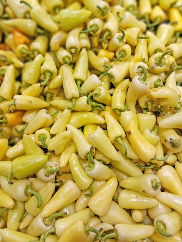 Yellow wax peppers. (Julio Estrada)