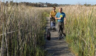 Grant money sought to save lagoon on Carlsbad-Oceanside border