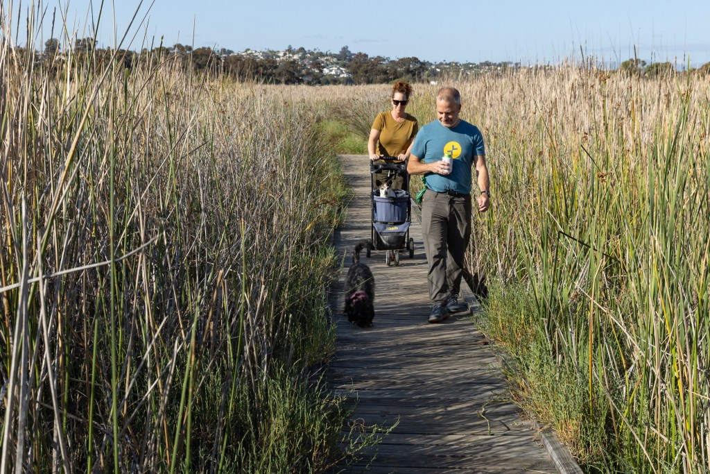 Grant money sought to save lagoon on Carlsbad-Oceanside border