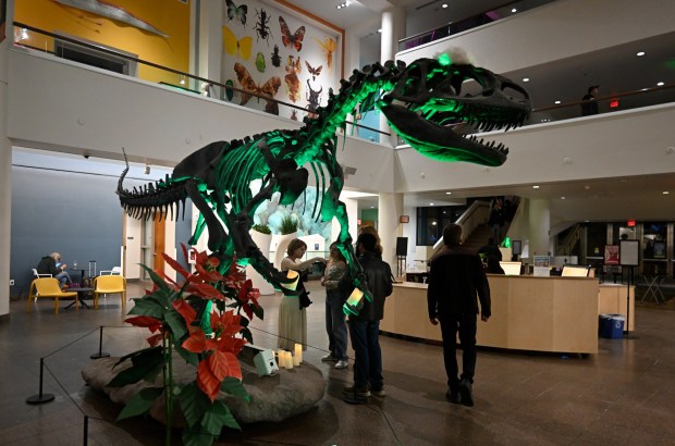 Visitors enjoy Nat at Night at the San Diego Natural History Museum Dec.19, 2025 in San Diego, Calif. (Photo by Denis Poroy)