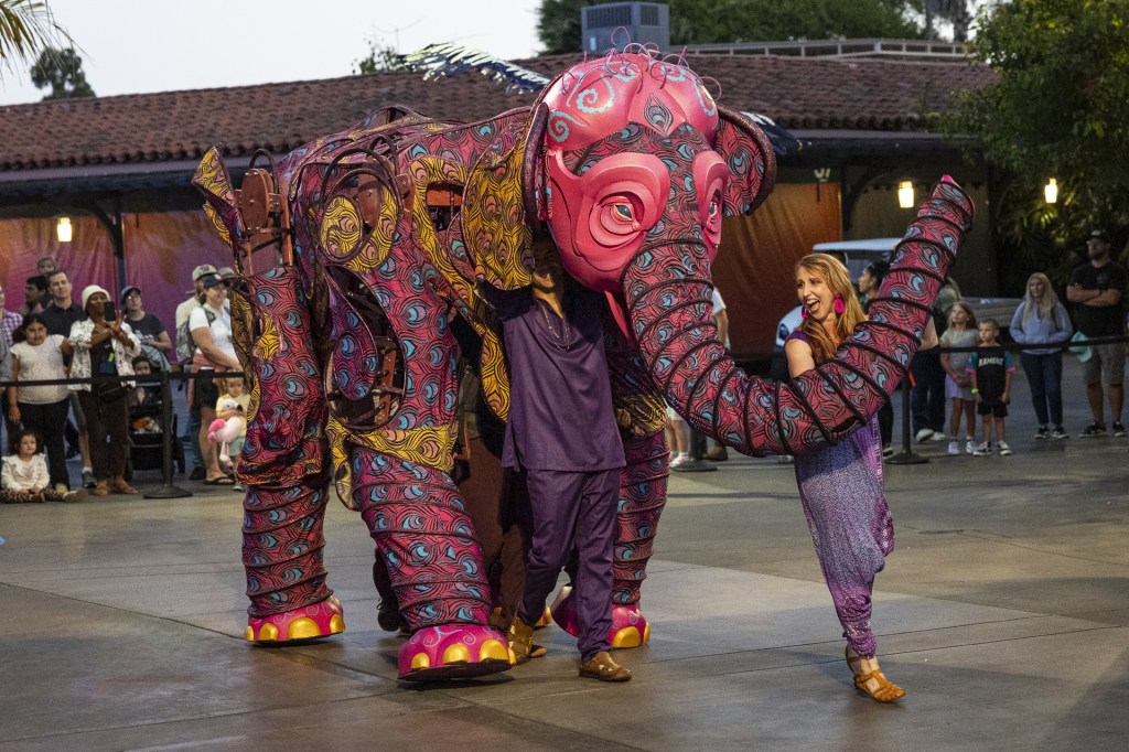 For decades, Nighttime Zoo has been a summer staple. This is the last year. – San Diego Union-Tribune