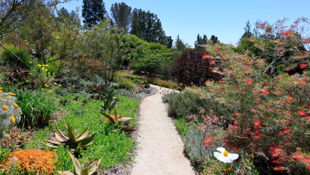 Walkways wind through the property of homeowners Stephen and Susan Root in Olivenhain, in eastern Encinitas. It has rocky slopes, a meadow, an orchard and more. (K.C. Alfred / The San Diego Union-Tribune)