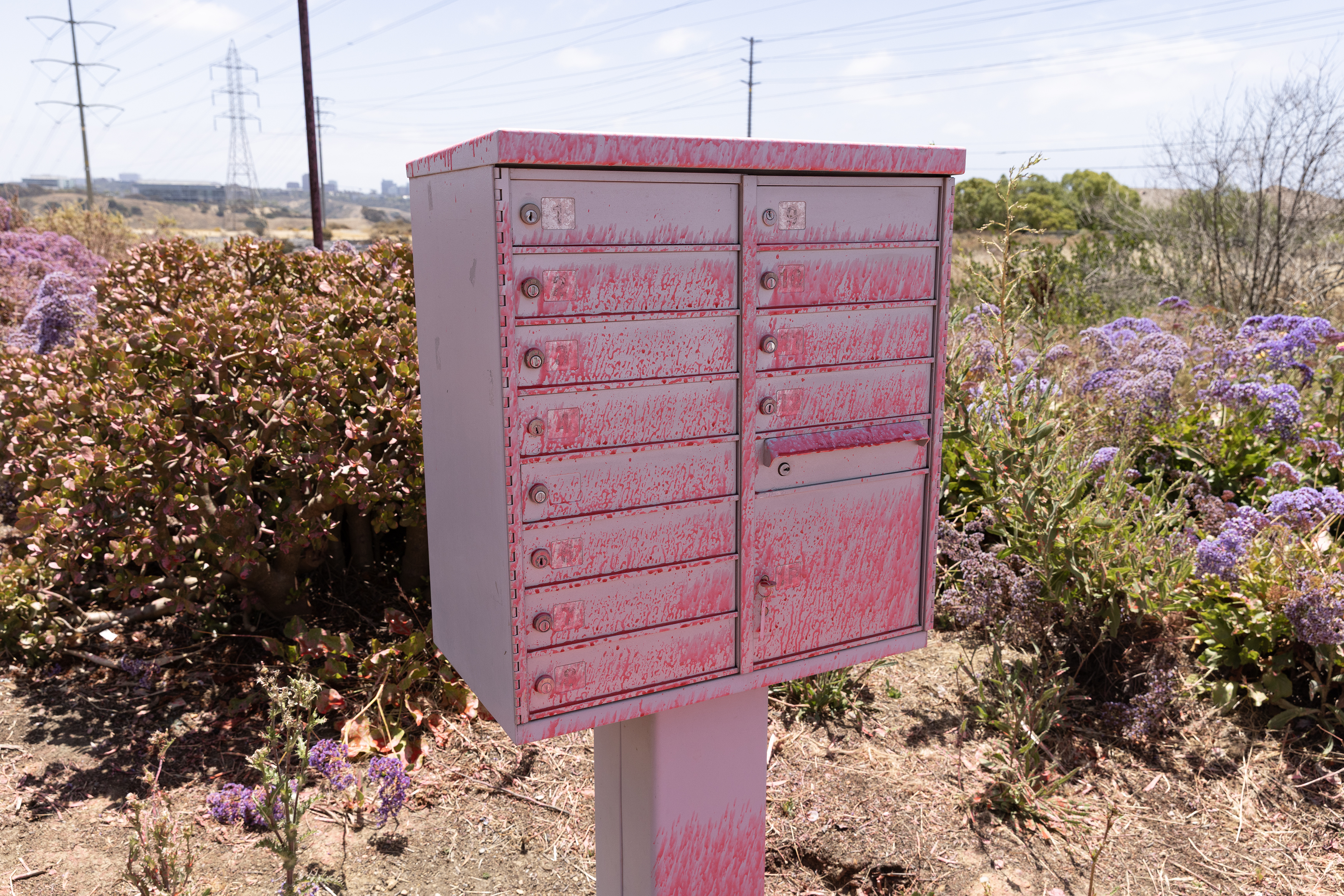 San Diego, CA – Fire retardant covers a mailbox in...