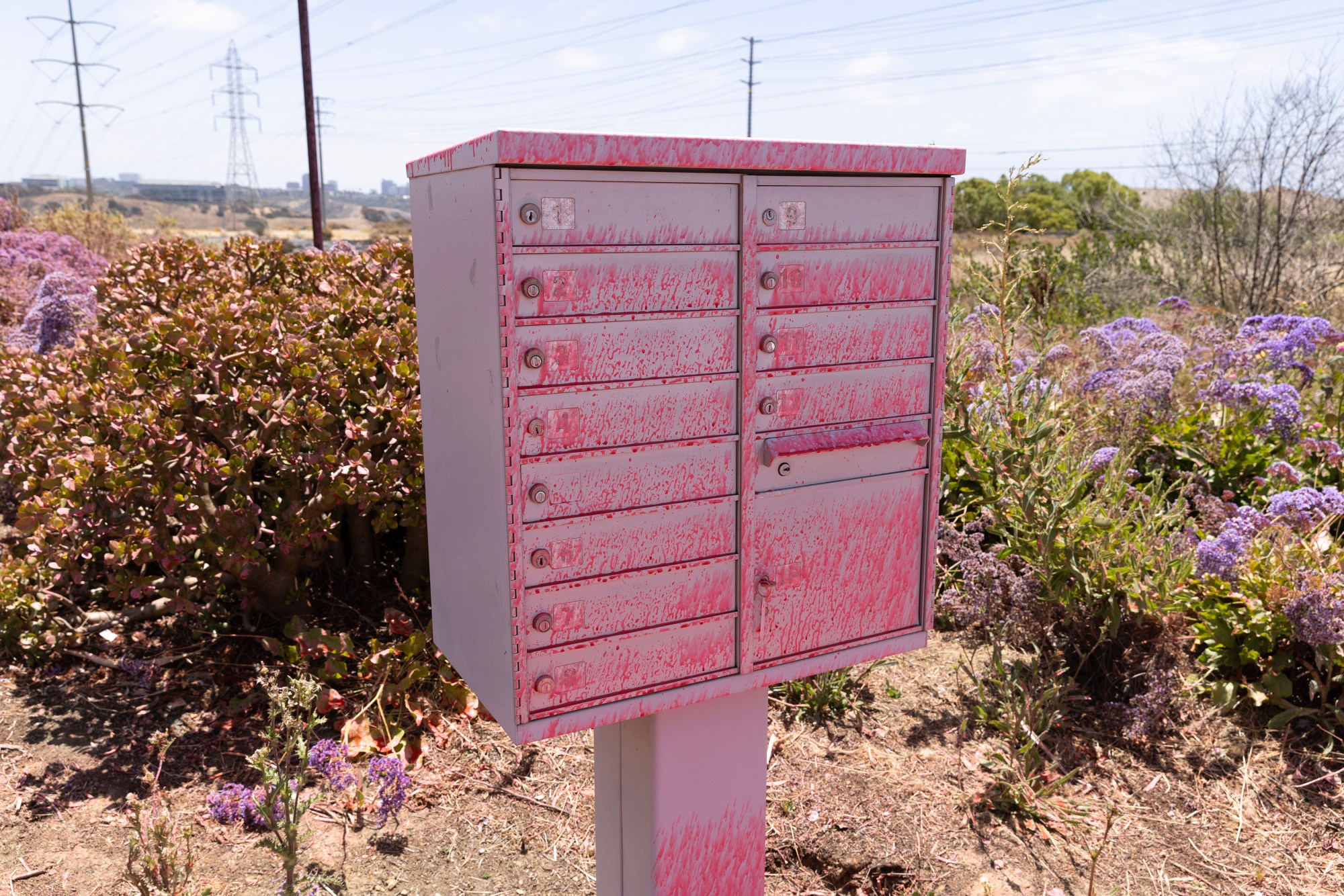 San Diego, CA – Fire retardant covers a mailbox in...