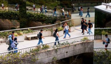 Opinion: Lowering UC admissions standards haunts those it was meant to help – San Diego Union-Tribune