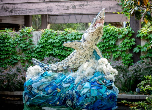The San Diego Natural History Museum's new exhibition, titled "Washed Ashore: Art to Save the Sea," opens on May 22 and is on display through Feburary of 2027. It will showcase large sculptures of marine life made from plastic collected from beaches. (Washed Ashore)