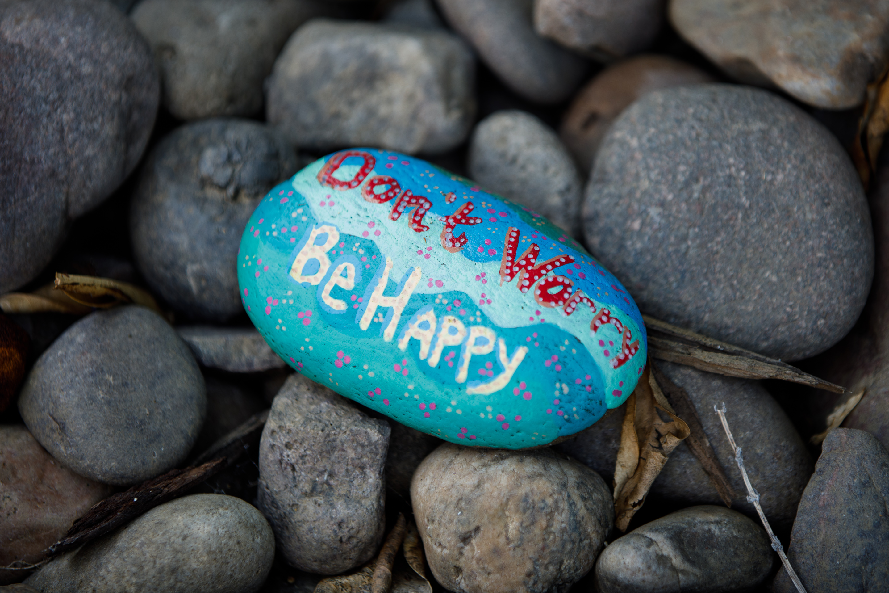 Julie Wilhelmy began decorating rocks after her lung-cancer surgery during...
