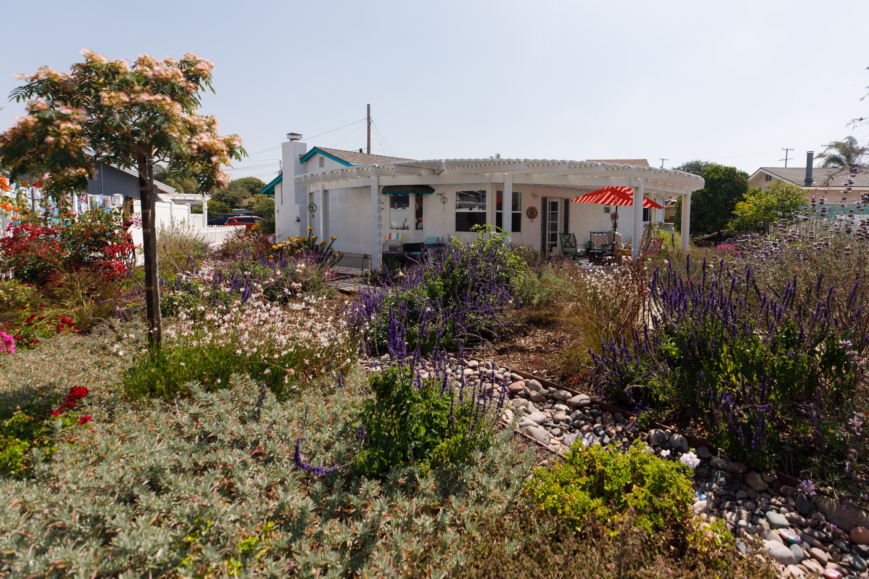 Rock swales were a key part of the renovation. The...