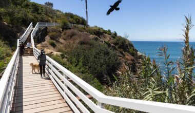 San Diego just assessed all its pedestrian bridges for the first time. Here’s which need the most work. – San Diego Union-Tribune