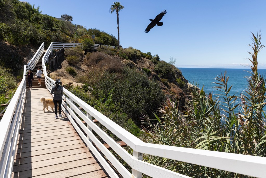 San Diego just assessed all its pedestrian bridges for the first time. Here’s which need the most work. – San Diego Union-Tribune