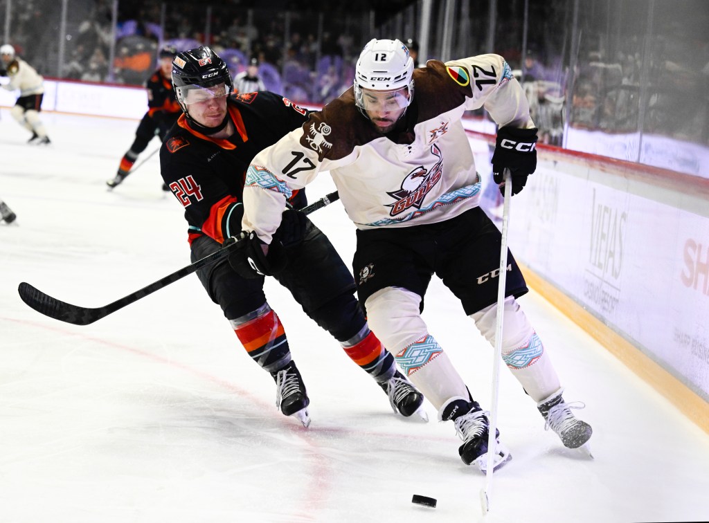 Owners of Gulls, Ducks propose to build ice complex in Escondido – San Diego Union-Tribune