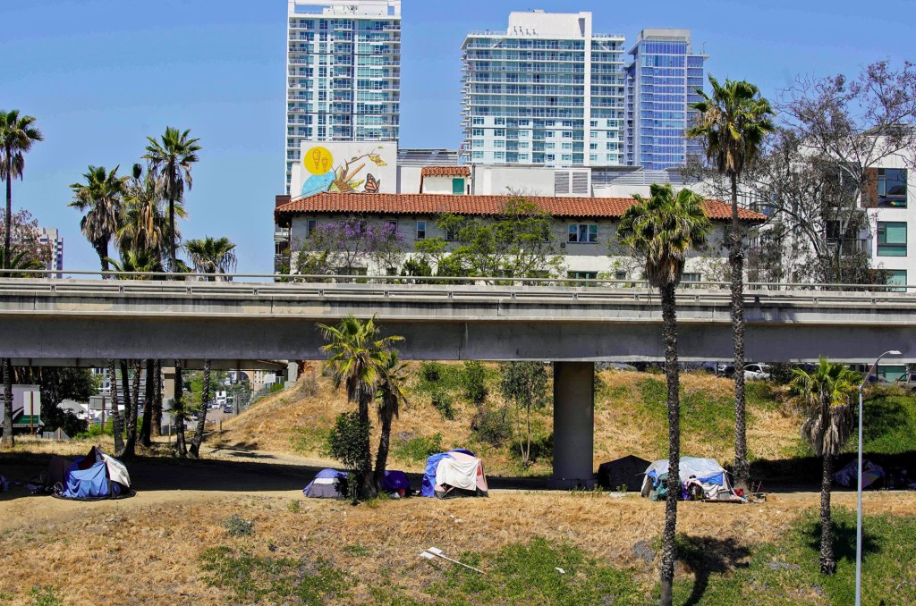 Homelessness fell in 2025 — but are the numbers reliable? – San Diego Union-Tribune