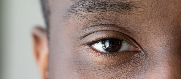(Adobe Stock)