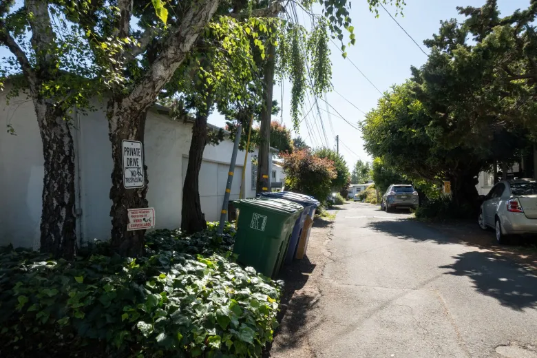 A view down a driveway that is lined with single-story cottages and trees