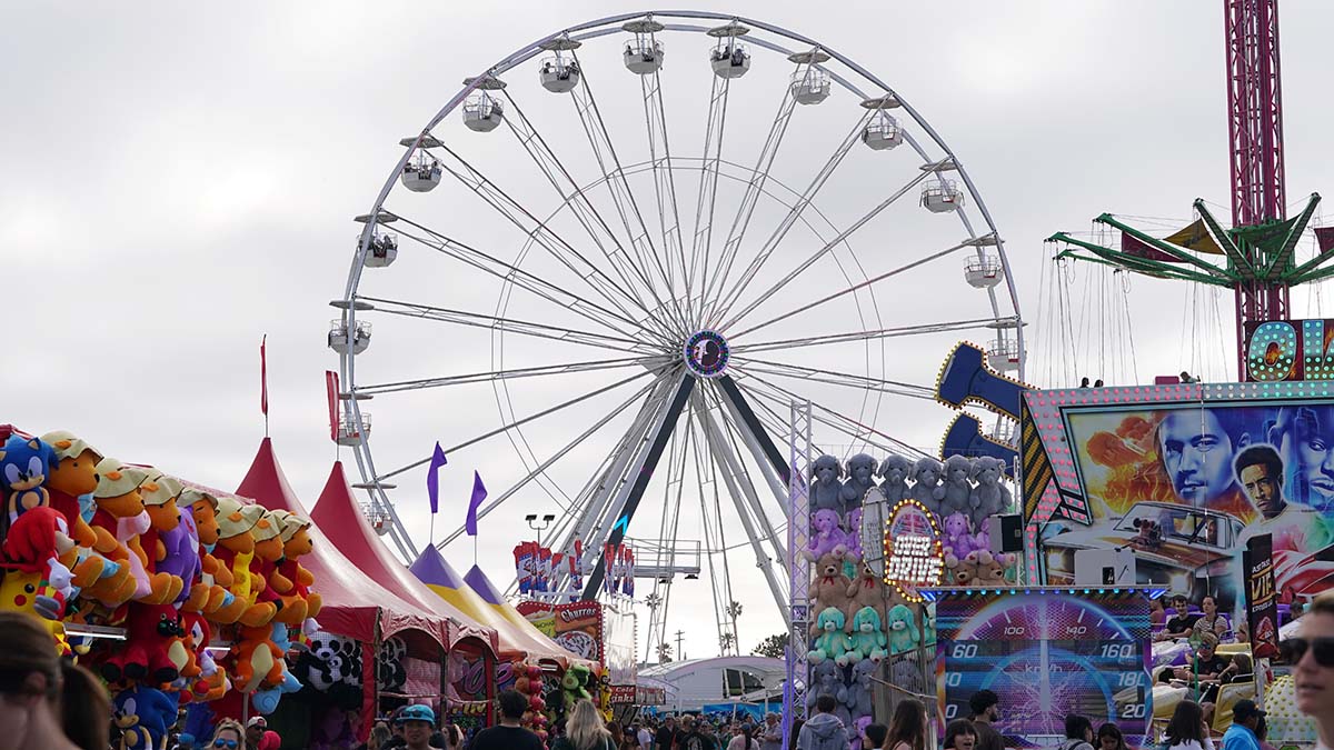 San Diego County Fair Roundup