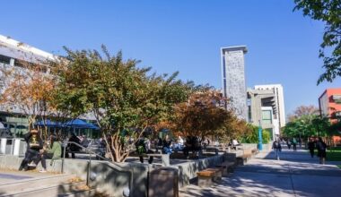 Arbitrator Orders Prof Fired for Palestine Activism Reinstated