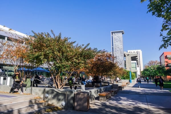 Arbitrator Orders Prof Fired for Palestine Activism Reinstated