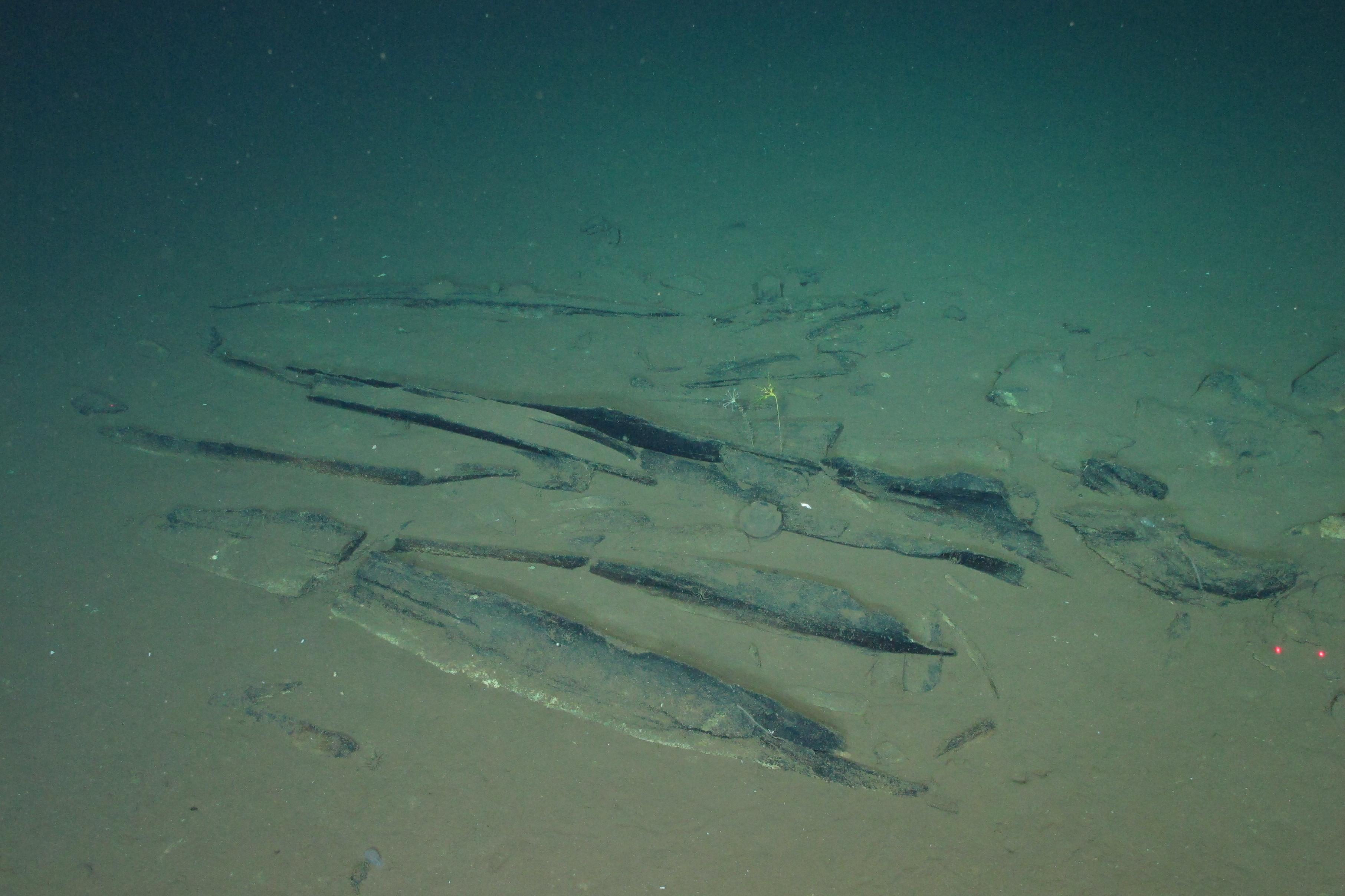 Newly discovered fossilized whale bones at a site deep underwater