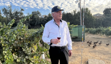 Fresno winemaker navigates declining U.S. wine market volume