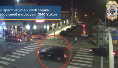 Police ask for help identifying possible hit-and-run driver