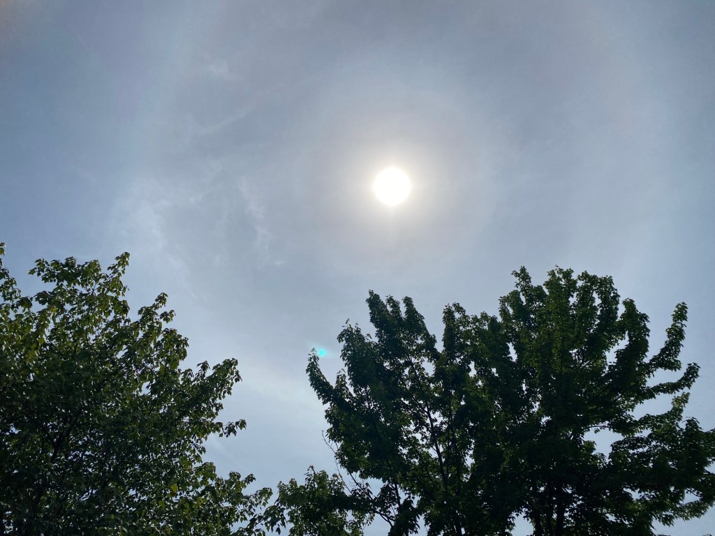 Heat wave is moving into Southeast Michigan, expected to stay awhile – Macomb Daily