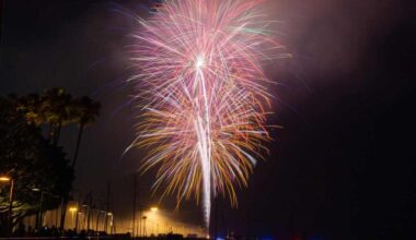 Where to watch July 4th fireworks, drone shows, July 2-5 in the LA County area – Daily News