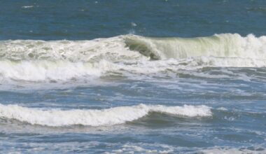 We just need some basic rules for the Jersey Shore [JEFF EDELSTEIN COLUMN]