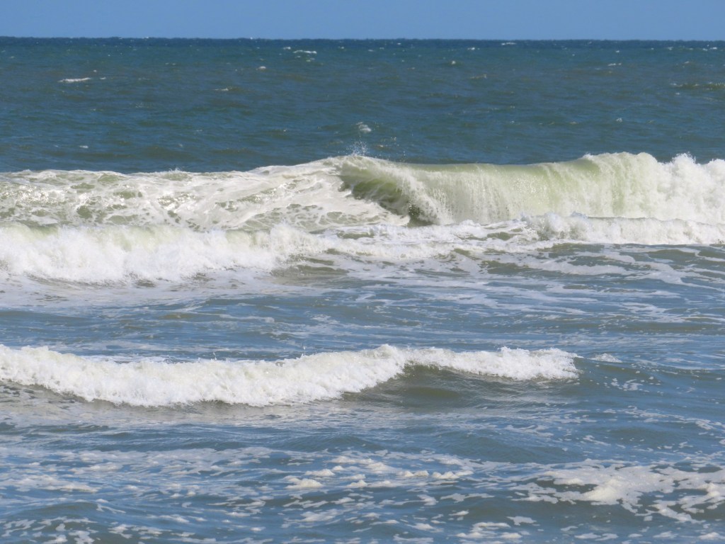 We just need some basic rules for the Jersey Shore [JEFF EDELSTEIN COLUMN]